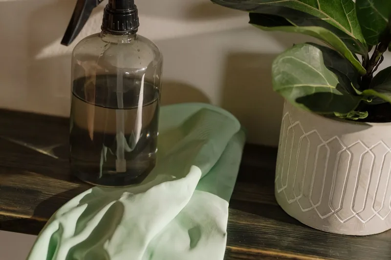 Glass spray bottle and a pair of green gloves on a dark table beside a plant